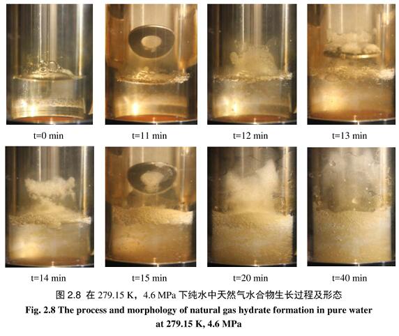 天然气水合物反应装置(图3)