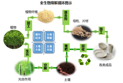 生物质微型反应釜(图2)